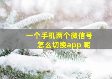 一个手机两个微信号怎么切换app 呢